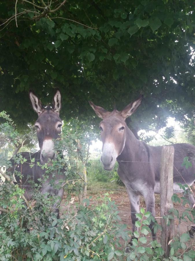 Camping Kerflaveur